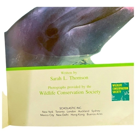 Scholastic educational kids books set of four age 5+ - Picture 8 of 11